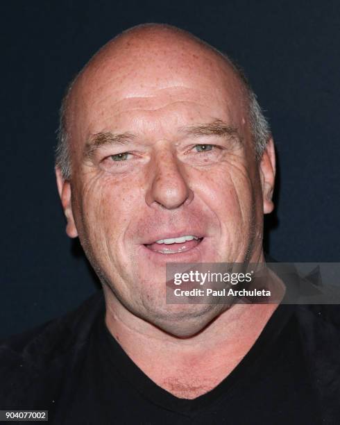 Actor Dean Norris attends the premiere of TNT's "The Alienist" at The Paramount Lot on January 11, 2018 in Hollywood, California.