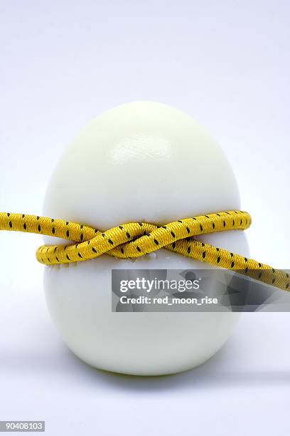 loosing weight with an egg diet - too small stockfoto's en -beelden