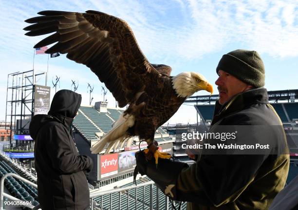 Spencer Williams, curator of birds for the American Eagle Foundation, holds Challenger, a non-releasable bald eagle, on an upper deck at Lincoln...