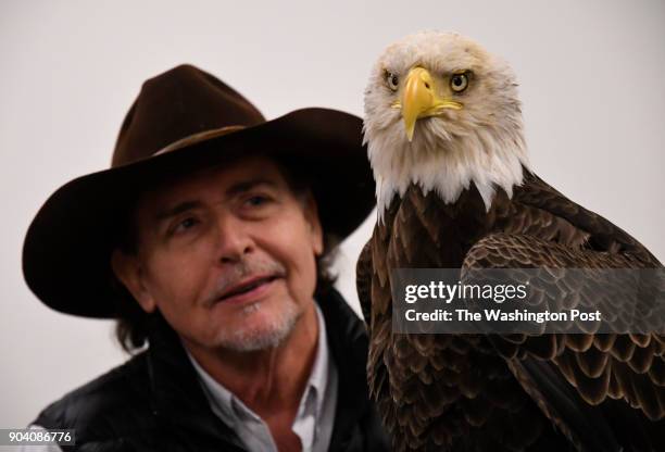 Al Cecere, founder, president and CEO of the American Eagle Foundation, with Challenger, a non-releasable bald eagle, at Lincoln Financial Field in...