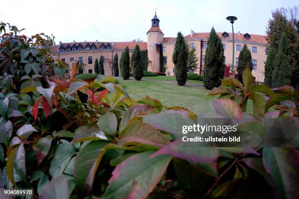 Dohna Dohna Castle Photos and Premium High Res Pictures - Getty Images