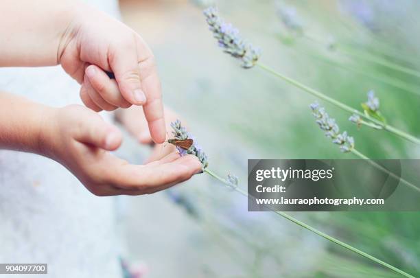 child holding butterfly - butterfly hand imagens e fotografias de stock