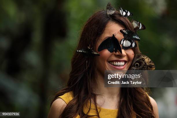 Varieties of butterfly sit on the face of model Jessie Baker as she poses during a photocall at RHS Garden Wisley on January 12, 2018 in Woking,...