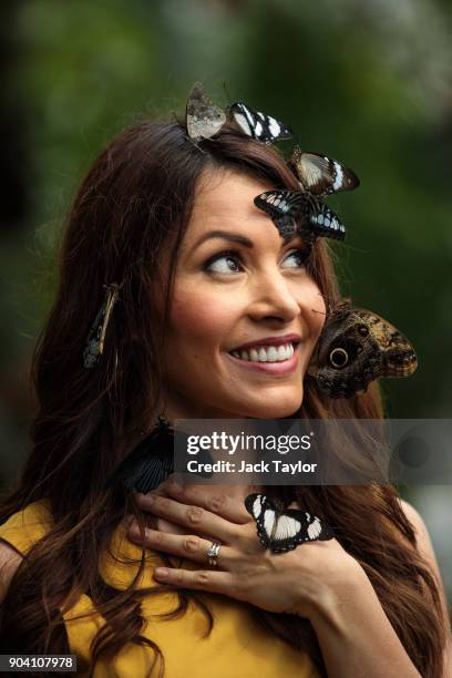 Varieties of butterfly sit on the face of model Jessie Baker as she poses during a photocall at RHS Garden Wisley on January 12, 2018 in Woking,...