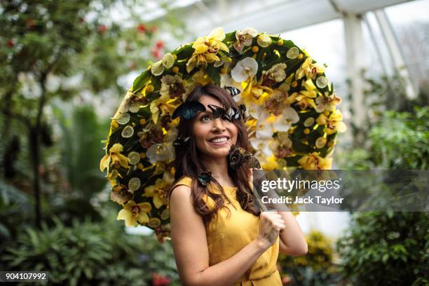 Varieties of butterfly sit on the face of model Jessie Baker as she poses during a photocall at RHS Garden Wisley on January 12, 2018 in Woking,...