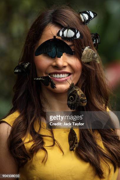 Varieties of butterfly sit on the face of model Jessie Baker as she poses during a photocall at RHS Garden Wisley on January 12, 2018 in Woking,...