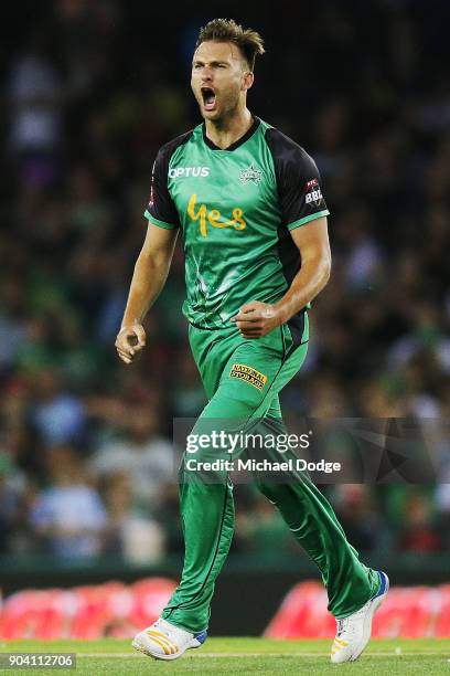 Jackson Coleman of the Stars celebrates the wicket of Marcus Harris of the Renegades during the Big Bash League match between the Melbourne Renegades...