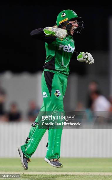 Nicole Faltum of the Stars celebrates after stumping Beth Mooney of the Heat during the the Women's Big Bash League match between the Brisbane Heat...