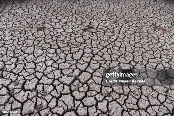 dry cracked bank of rever - drought stock pictures, royalty-free photos & images