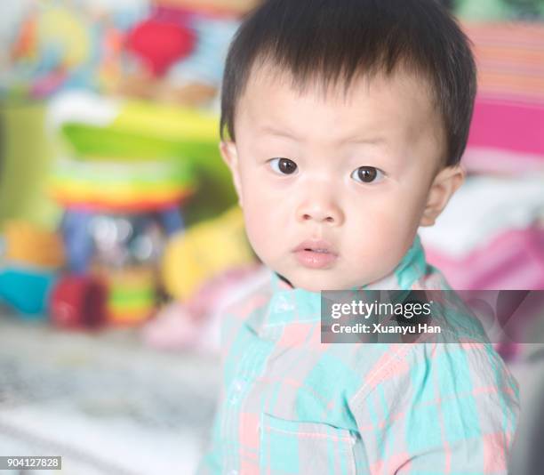 chinese baby boy - eenjarig plantenkenmerk stockfoto's en -beelden