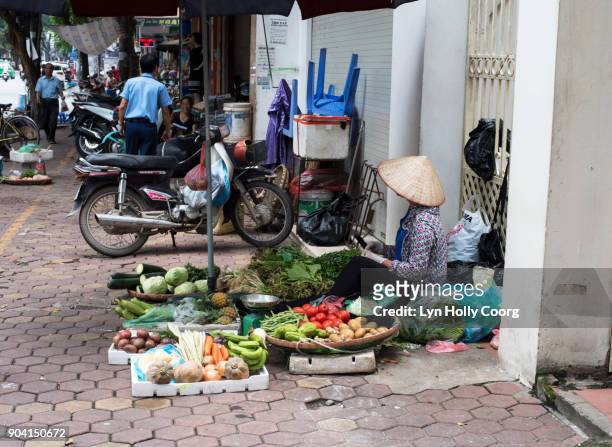 street vendor in hanoi - lyn holly coorg stock pictures, royalty-free photos & images