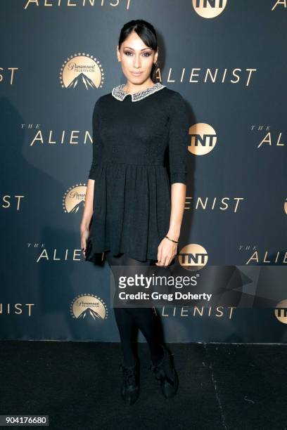 Actress Tehmina Sunny attends the Premiere Of TNT's "The Alienist" on January 11, 2018 in Hollywood, California.