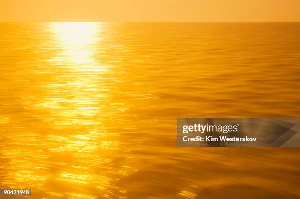 golden sunlight on sea, blurred motion - westerskov stock pictures, royalty-free photos & images