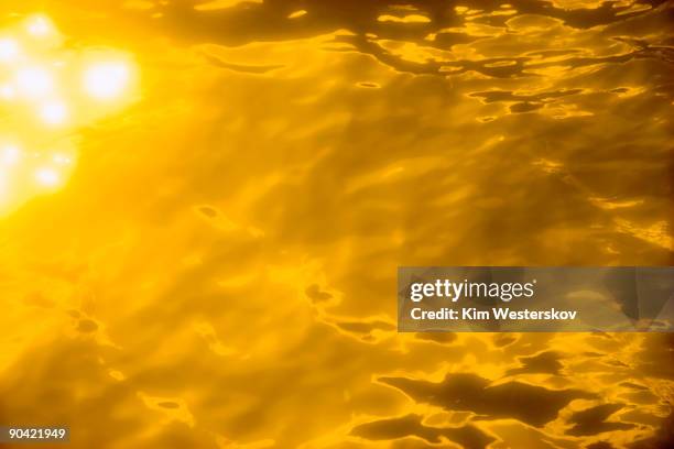 golden sunlight reflections on velvety water - westerskov stock pictures, royalty-free photos & images