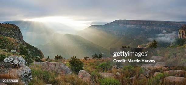 sunlight streaming through mist - mpumalanga province stock pictures, royalty-free photos & images