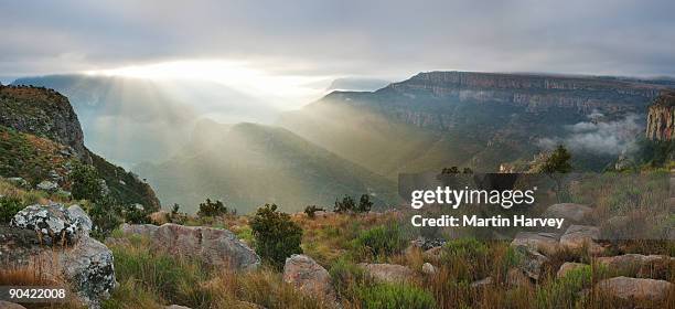 sunlight streaming through mist - província de mpumalanga imagens e fotografias de stock