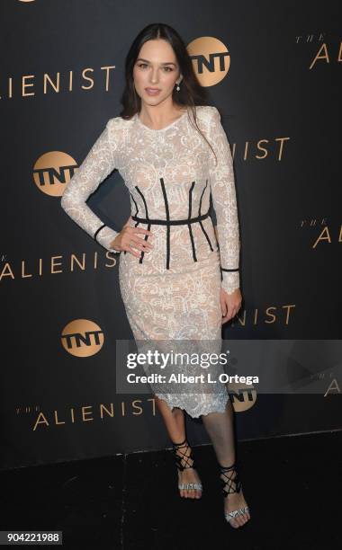 Actress Emanuela Postacchini arrives for the Premiere Of TNT's "The Alienist" held at Paramount Pictures on January 11, 2018 in Los Angeles,...