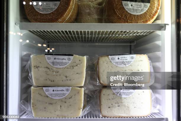 Greek cheese infused with cannabis herbs sits in a refrigerator at the 1st International Cannabis Expo at the Faliro Sports Pavilion in Athens,...