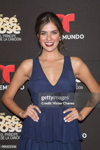 Ariana Ron Pedrique attends the "Jose Jose El Principe De La Cancion" Telemundo tv series premiere at Four Seasons hotel on January 11, 2018 in...