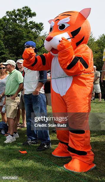 Fan dressed in a life-size tiger outfit cheers on Tiger Woods at the eighth green during the final round of the Deutsche Bank Championship held at...