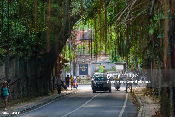 Indonesia, Bali, Kabudaten Gianyar, Lianen over a road at Ubud.