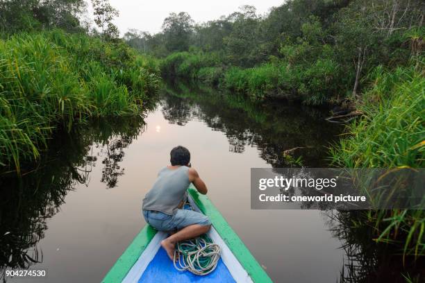 Indonesia, Kalimantan, Borneo, Kotawaringin Barat, Tanjung Puting National Park, By boat on the Sekonyer River.