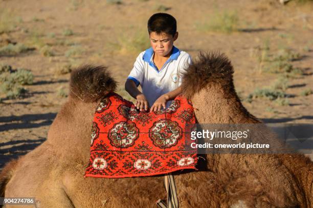 Uzbekistan, Nurota tumani, son of the camel driver. The camel-drivers are Mongolian, Kazakh-speaking Kazakhs. Uzbekistan is a multicultural state...