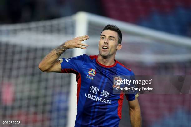 Jason Hoffman of the Jets celebrates a goal during the round 16 A-League match between the Newcastle Jets and the Brisbane Roar at McDonald Jones...