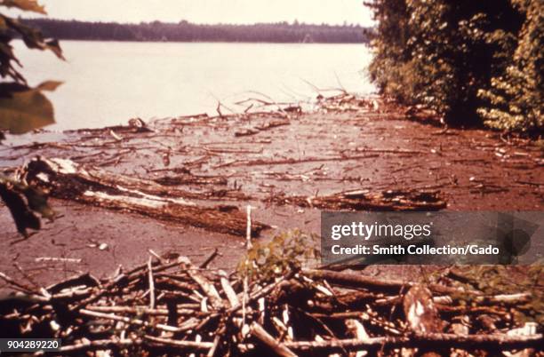 Landscape photograph of logs and debris at the edge of a lake reservoir, with wooded shoreline visible in background, taken as part of an...