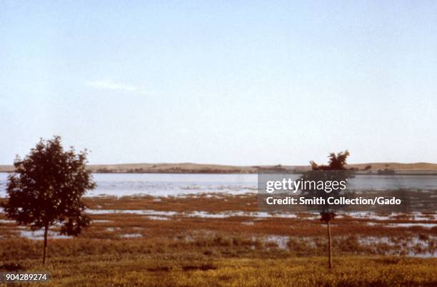 Landscape photograph of the marshy edge of a lake set in a flat, grassy area with two trees visible in the foreground and distant hills in the...