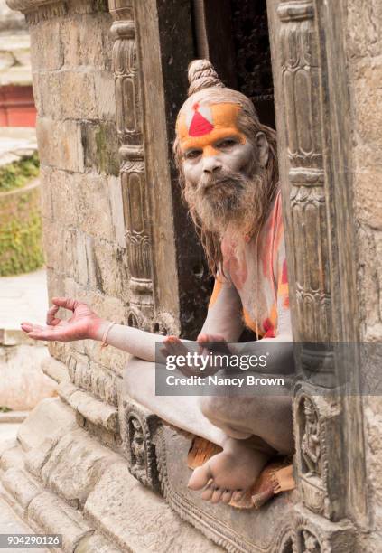 a hindu sadhu man (holy man) in the pashupatinath temple in kathmandu - senior man grey long hair stock pictures, royalty-free photos & images