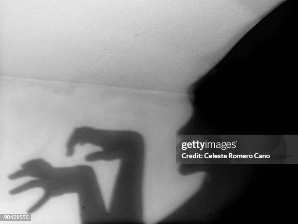 wicked female shadow on the wall - heks stockfoto's en -beelden