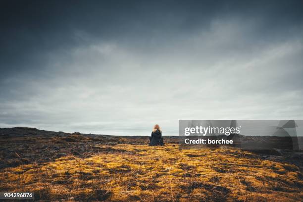 woman admiring the volcanic landscape in iceland - cloudy sky stock pictures, royalty-free photos & images