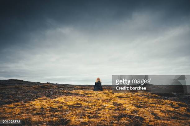 kvinna som du beundrar det vulkaniska landskapet på island - cloudy sky bildbanksfoton och bilder