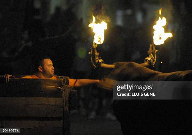 Bull with flaming horns charges during Toro Embolao late on September 7, 2009 in Sant Carles Rapita. AFP PHOTO / LLUIS GENE