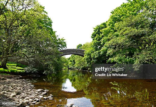 humpback bridge reflecting in river - packhorse bridge bildbanksfoton och bilder