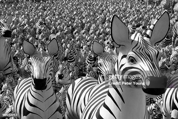 zebras - zebra stock illustrations