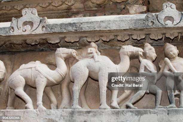 stone carving of camels on lakshmana temple - lakshmana temple stock pictures, royalty-free photos & images