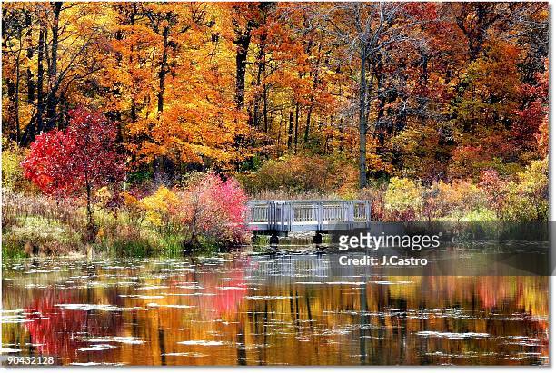 autumn firing colors - autumn covered bridge stock pictures, royalty-free photos & images