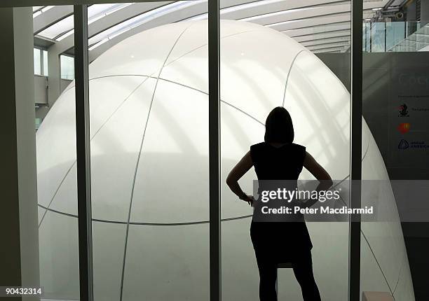 Visitor looks the Cocoon at the Darwin Centre at The Natural History Museum on September 8, 2009 in London, England. The new GBP 78 million centre is...