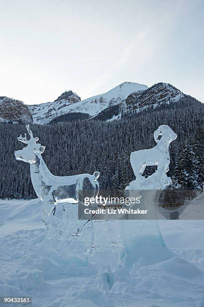 deer and ram ice sculptures - ice sculpture stock pictures, royalty-free photos & images