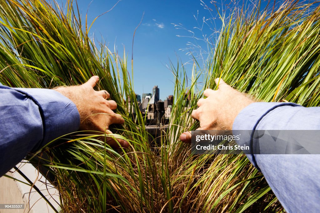 Man parting green grass