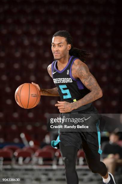Cat Barber of the Greensboro Swarm handles the ball against the Texas Legends at NBA G League Showcase Game 17 on January 12, 2018 at the Hershey...