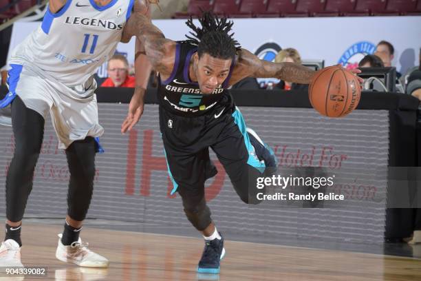 Cat Barber of the Greensboro Swarm handles the ball against the Texas Legends at NBA G League Showcase Game 17 on January 12, 2018 at the Hershey...