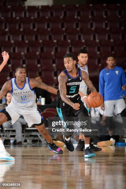 Cat Barber of the Greensboro Swarm handles the ball against the Texas Legends at NBA G League Showcase Game 17 on January 12, 2018 at the Hershey...