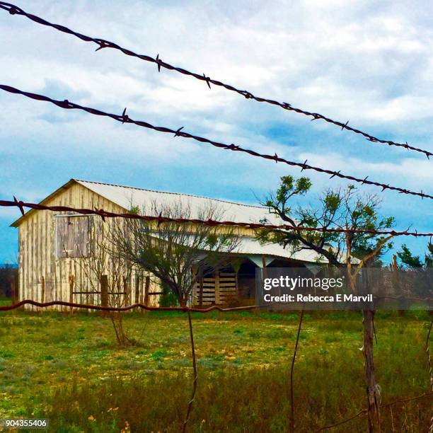 656 Texas Ranch House Stock Photos, High-Res Pictures, and Images ...