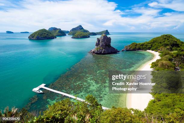 tropical heaven | koh samui - ko samui - fotografias e filmes do acervo