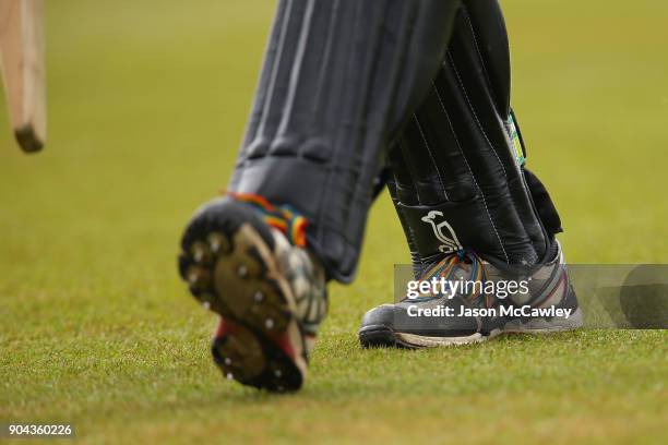 Lauren Ebsary of the Scorchers wearing rainbow shoelaces in support of ZaideeÕs Rainbow Foundation during the Women's Big Bash League match between...