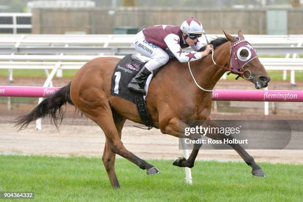 Twitchy Frank ridden by Ethan Brown wins the Craftsman Handicap at Flemington Racecourse on January 13, 2018 in Flemington, Australia.