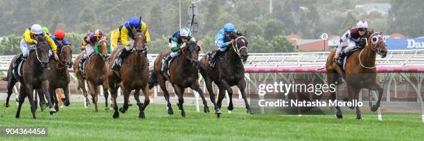 Twitchy Frank ridden by Ethan Brown wins the Craftsman Handicap at Flemington Racecourse on January 13, 2018 in Flemington, Australia.